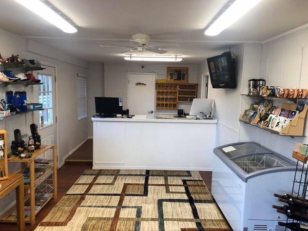 King room near pool Photo 5